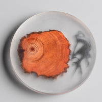 Handmade Resin Pine Coaster