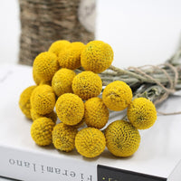 Golden Dried Billy Ball Bouquet