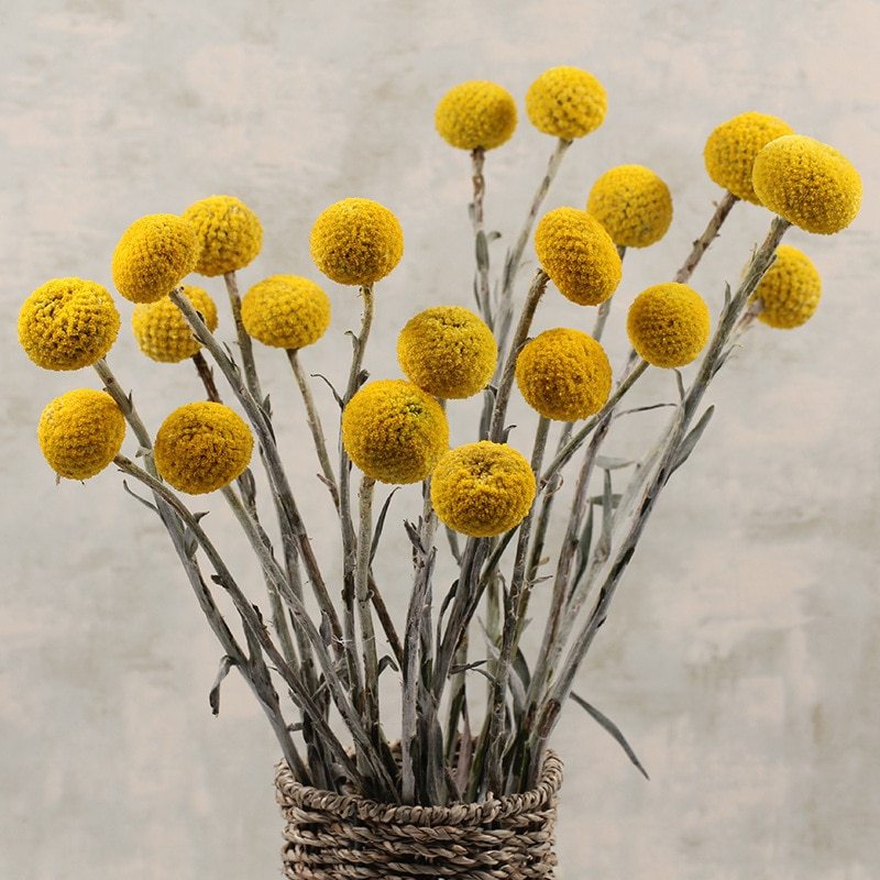 Golden Dried Billy Ball Bouquet