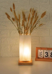 Dimmable Flower Vase Beside Decorative Table Lamp for Rustic Home